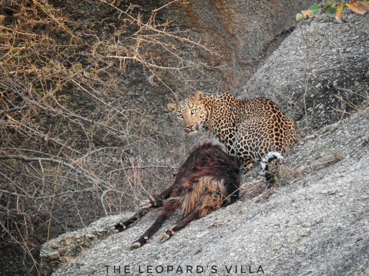 Jawai Leopard Villa Bijapur  Εξωτερικό φωτογραφία