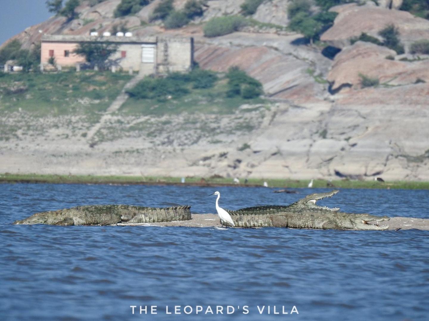 Jawai Leopard Villa Bijapur  Εξωτερικό φωτογραφία