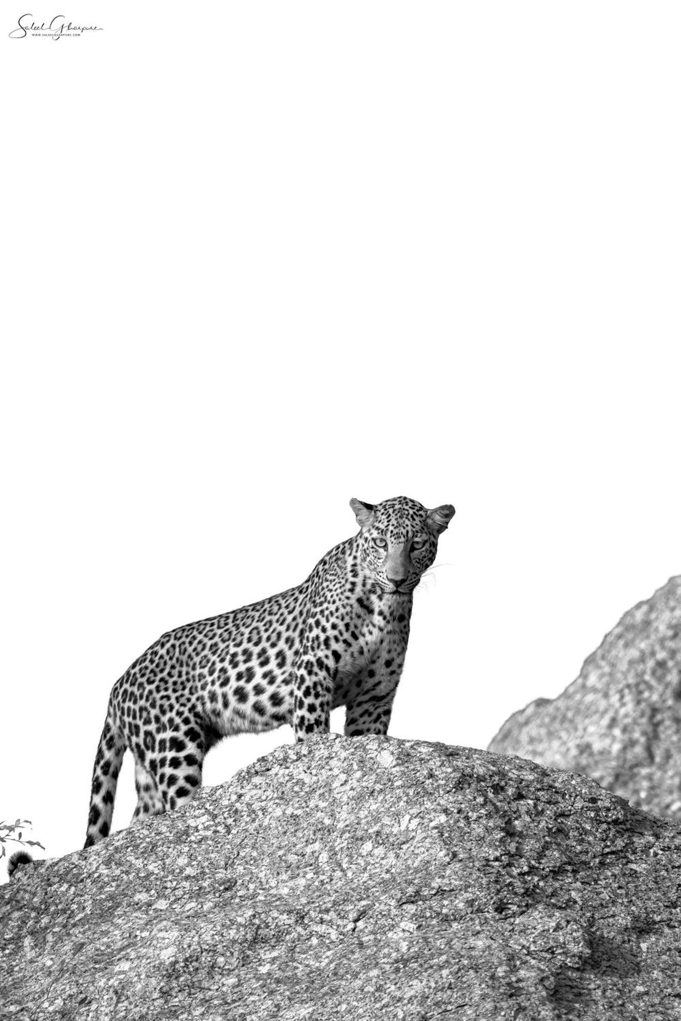 Jawai Leopard Villa Bijapur  Εξωτερικό φωτογραφία