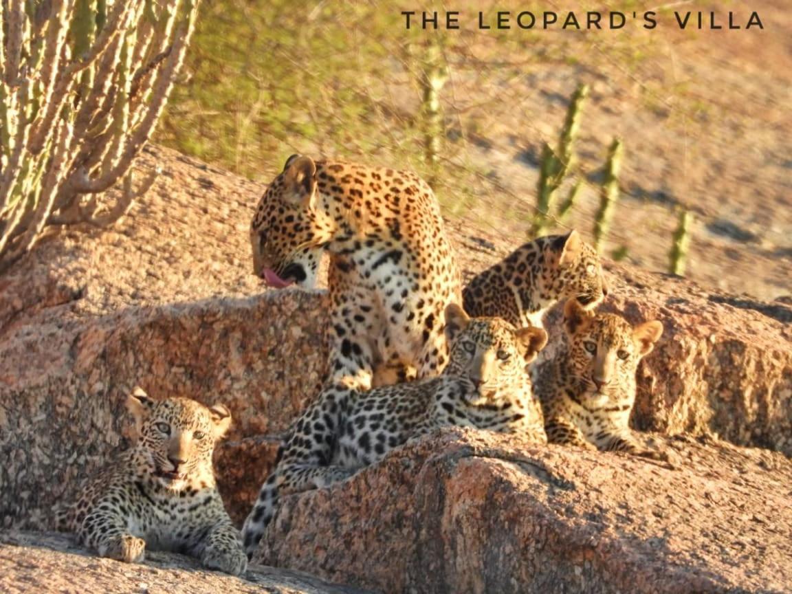 Jawai Leopard Villa Bijapur  Εξωτερικό φωτογραφία