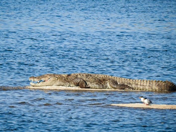 Jawai Leopard Villa Bijapur  Εξωτερικό φωτογραφία